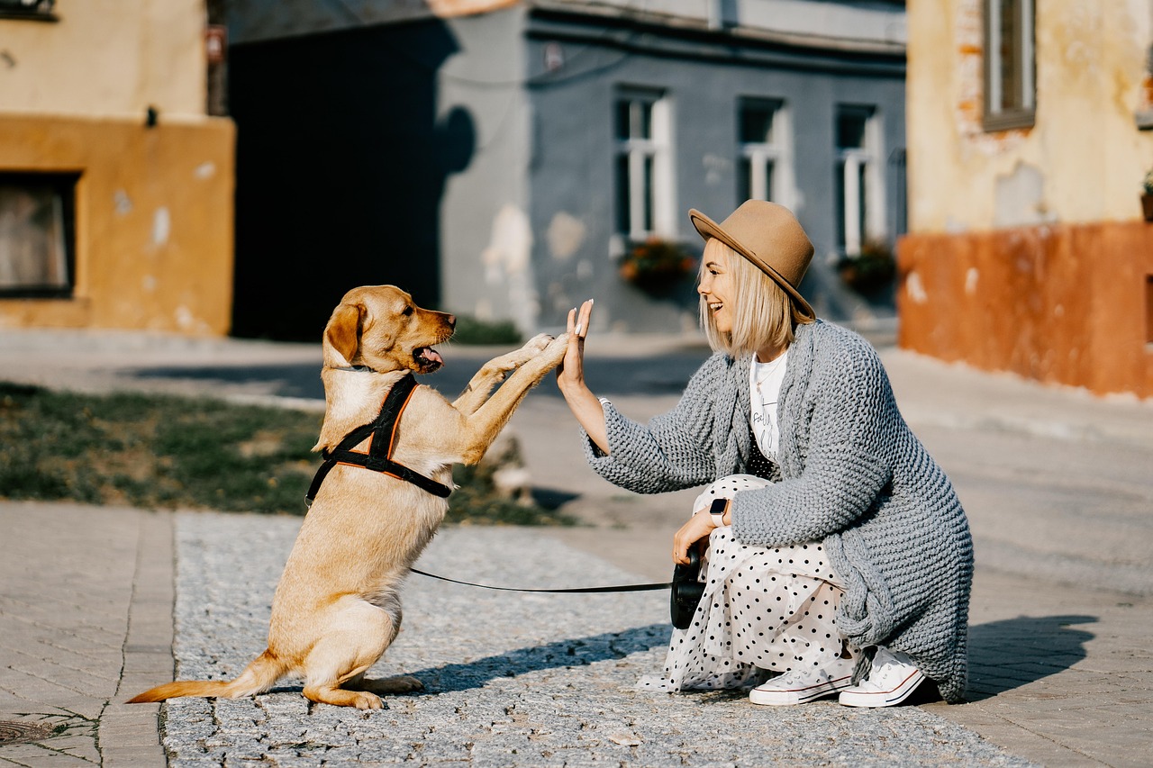 Câinii și pisicile ne fac mai fericiți: Ce arată un nou studiu despre relația om-animal