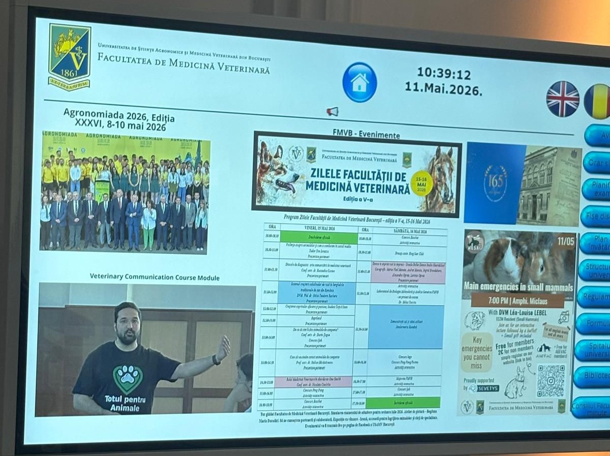 Weekend dedicat animalelor la FMV București: Adopții, dresaj și campanii anti-cruzime
