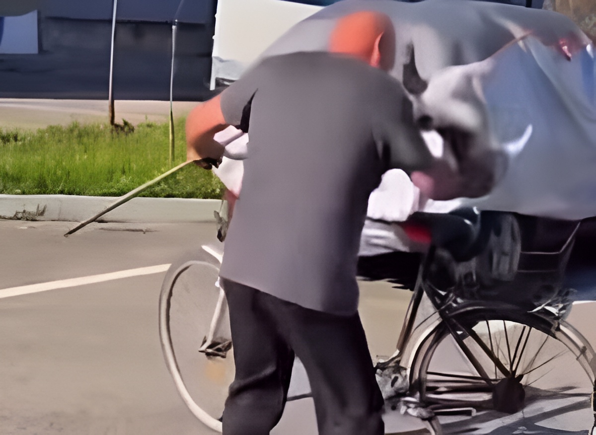 Control judiciar pentru un bărbat din Gorj acuzat că a ucis intenționat o pisică