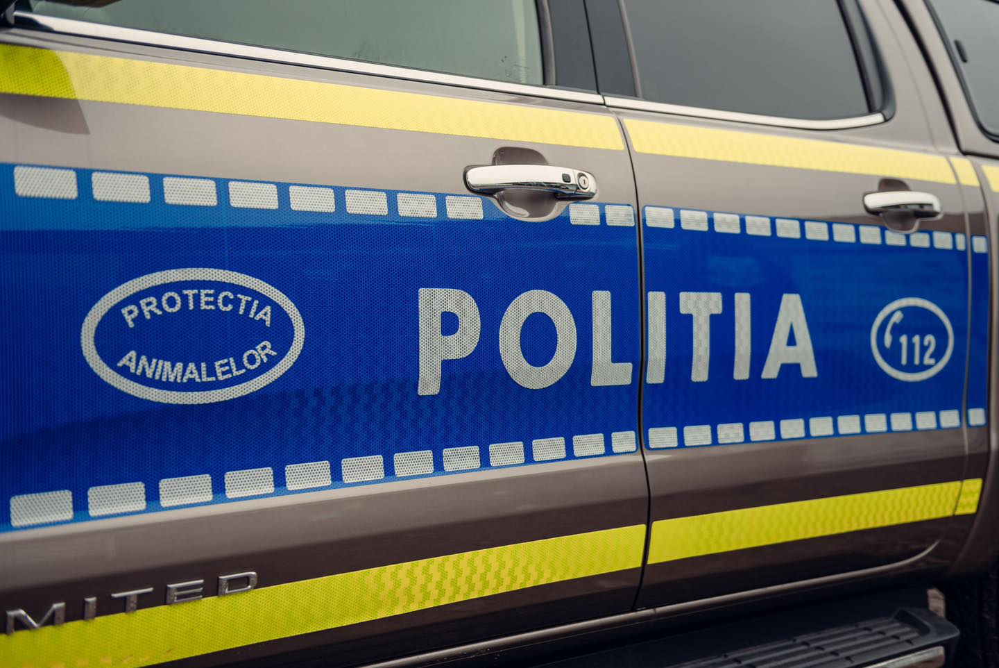 Amenzi de peste 12.000 de lei după o acțiune a polițiștilor din Vâlcea: Controale pentru protecția animalelor în Călimănești, Dăești și Păușești-Măglași