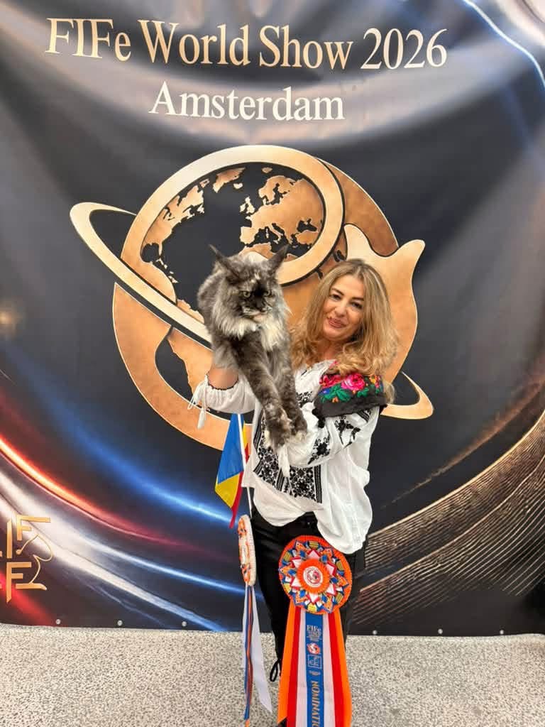 WhatsApp Image 2026-10-28 at 09.23.34 (2).jpeg