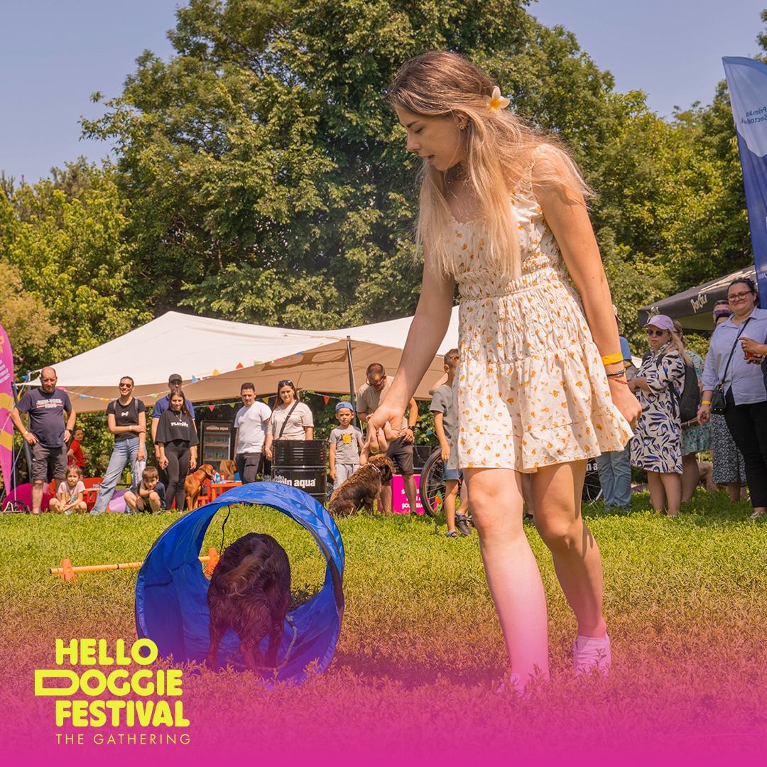 festival.jpg