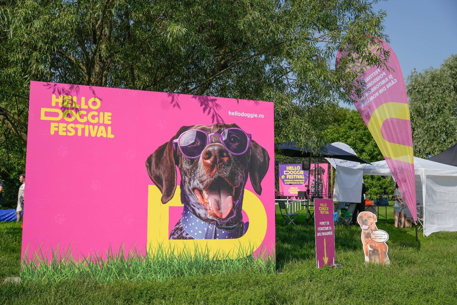 hello-doggie-festival.jpg