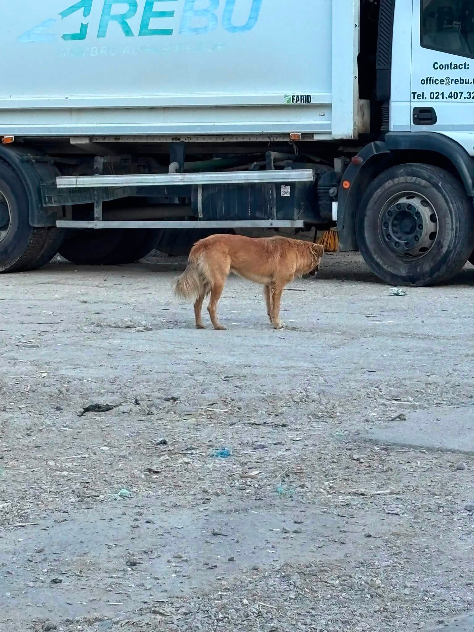 772468660_1069327198797238_2838471339074970452_n.jpg