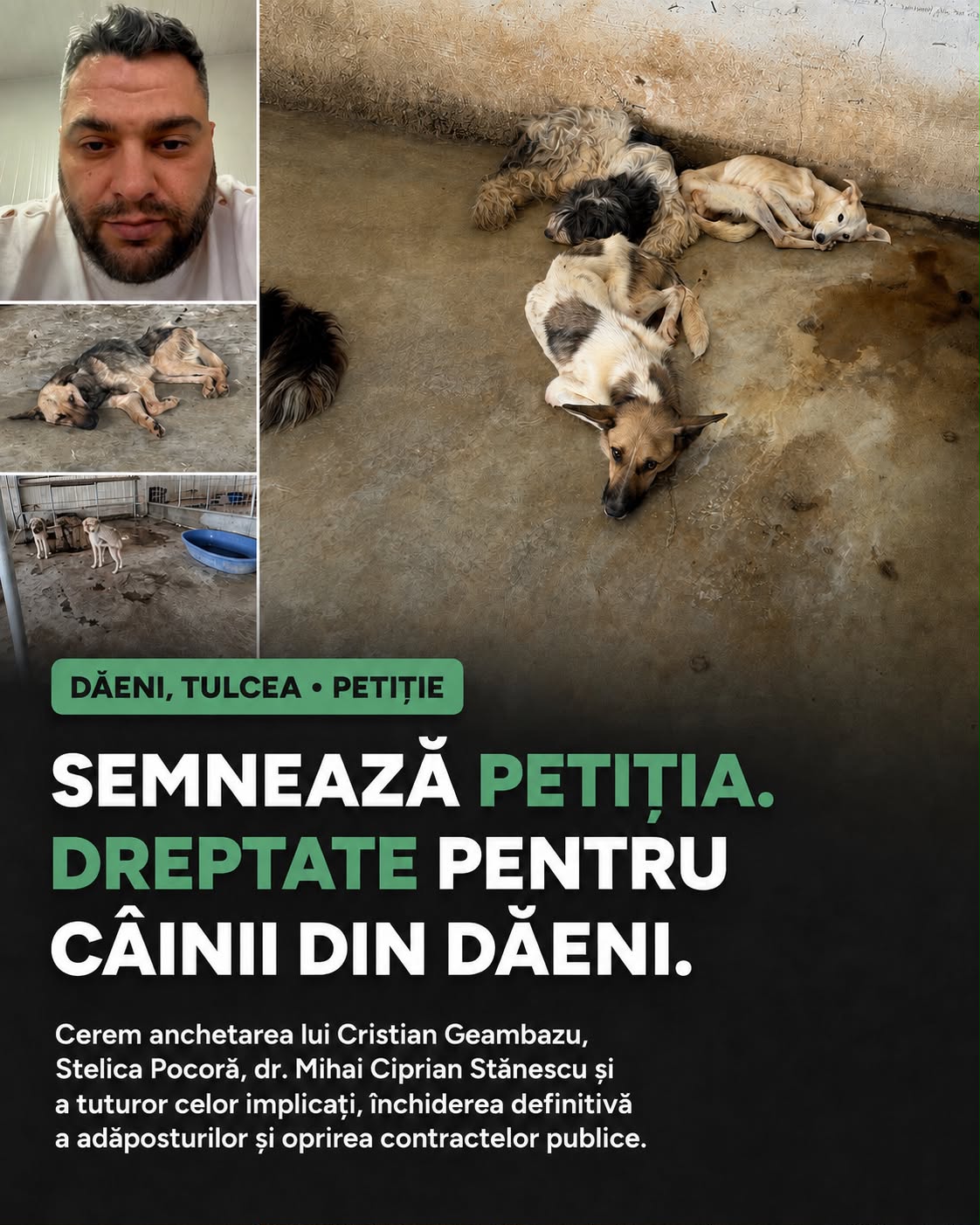 petitie.jpg
