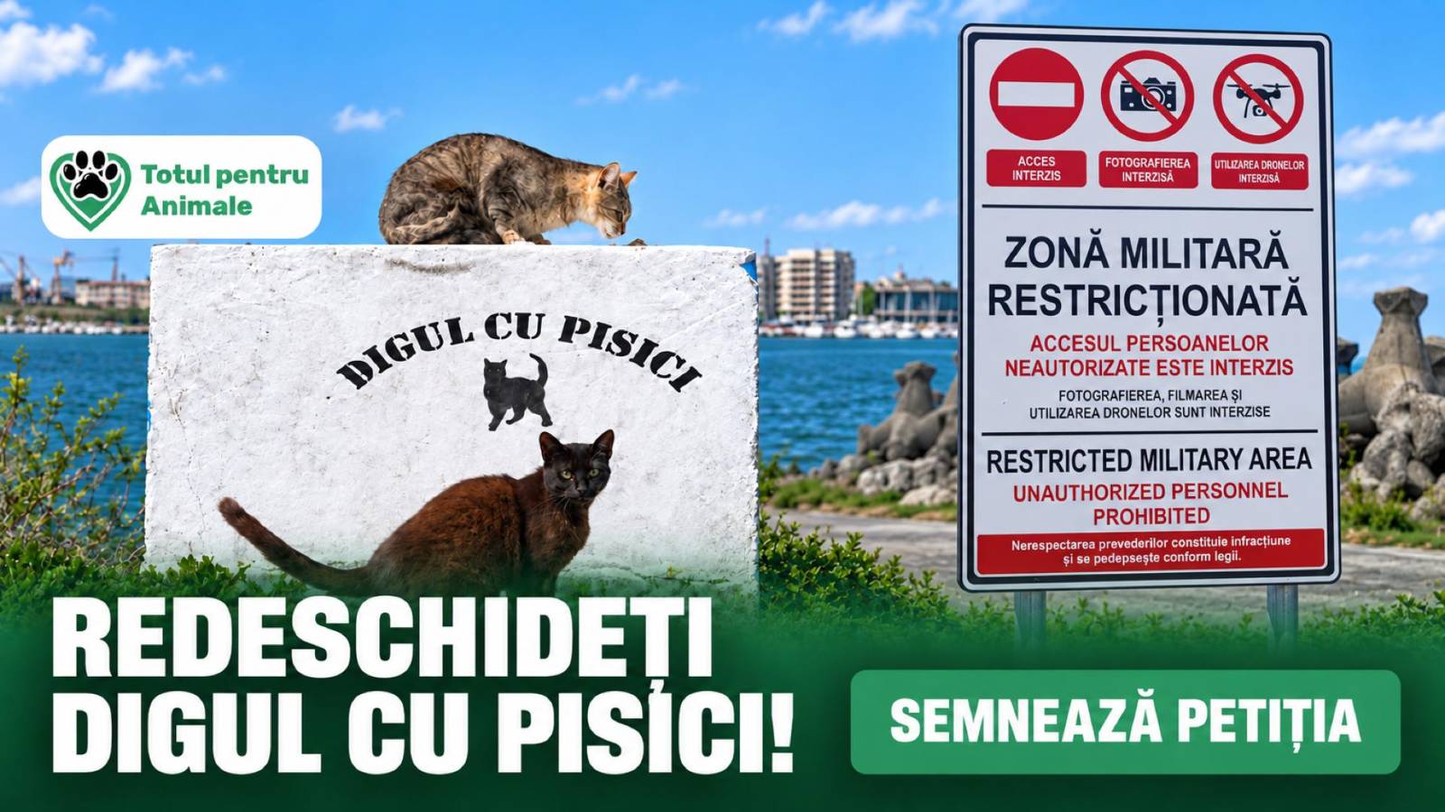 REDESCHIDETI ACCESUL LA DIGUL CU PISICI DIN MANGALIA